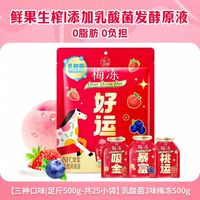 溜溜梅 好运梅果冻 500g