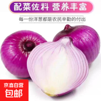 京喜 甘肃紫皮洋葱圆葱大葱头 洋葱带箱1斤 大果100-500g