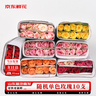 移动端、京东百亿补贴：京东鲜花 玫瑰花10枝鲜切花花年宵花基地现采现发源头直发