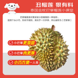 京鲜生 泰国金枕巴掌鲜榴莲2个装总净重4.5-5.5斤 单果2-3斤