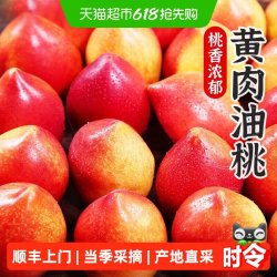 孙悟空 陕西黄肉油桃