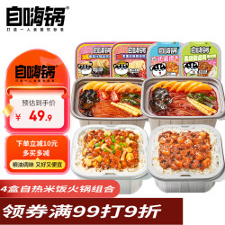 自嗨锅 自热火锅盖浇饭组合方便即食火锅懒人组合夜宵充饥4口味组合984g