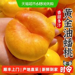 孙悟空 大连黄金油蟠桃