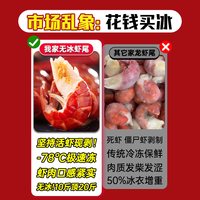 北乐岛 蒜蓉麻辣口味 龙虾尾 500g*10袋
