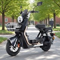  LUYUAN/绿源 长续航 电动车