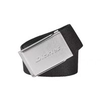 Dickies 帝酷适25秋冬新色工装风多色百搭休闲腰带秋冬男女情侣