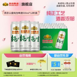 燕京 YANJING BEER 燕京啤酒 纯生啤酒 500ml*12听