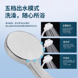 科勒 30251T 驰雨多功能手持花洒