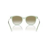 EMPORIO ARMANI 女款墨镜猫眼太阳镜0EA4220