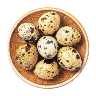 静益乐源 鹌鹑蛋 30枚装
