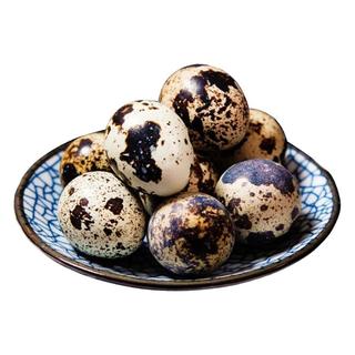 静益乐源 鹌鹑蛋 30枚装