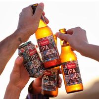 RASTA TROLLS/山树精 比利时精酿啤酒 330ml*12瓶