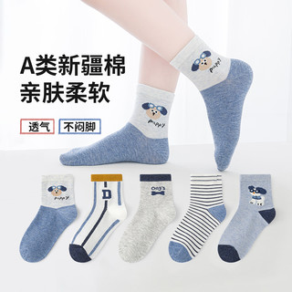 六指鼠 精梳棉网眼透气 Hello酷狗 5双装 儿童中筒袜