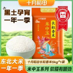 十月稻田 长粒香米 5kg 真空包装