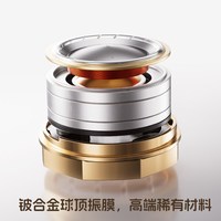  FiiO/飞傲 OAK NANO 铍金属振膜动圈 入耳式耳机