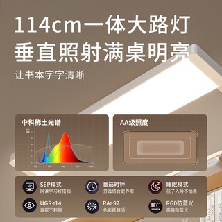 大满贯 杉语lite 可升降学习桌 护眼灯一体套装