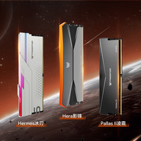 PREDATOR DDR5 6000频率 台式机内存条  24GB*2 48GB