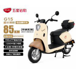 五星钻豹 G15 电动摩托车 60V20AH 铅酸电池