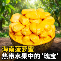 亲佳美 海南老树黄肉菠萝蜜 15-20斤 新鲜水果