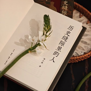 三联 历史缝隙里的人 郑小悠 清代历史非虚构写作