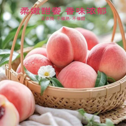 京鲜生 卢龙水蜜桃净重4.5斤装 单果160g+ 源头直发