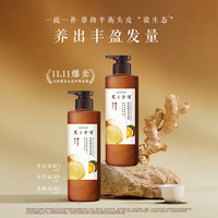 PLUS会员：发之食谱 去屑 防断养发洗发水  530g