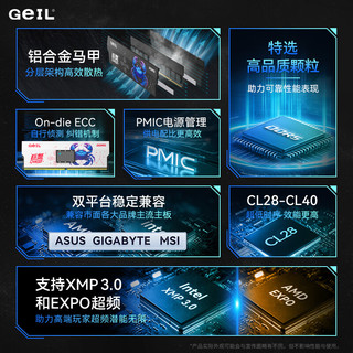 金邦 巨蟹升级版 DDR5 6000 C36 32GB(16G×2) 黑色 台式机内存