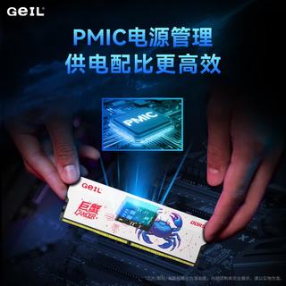 金邦 巨蟹升级版 DDR5 6000 C36 32GB(16G×2) 黑色 台式机内存