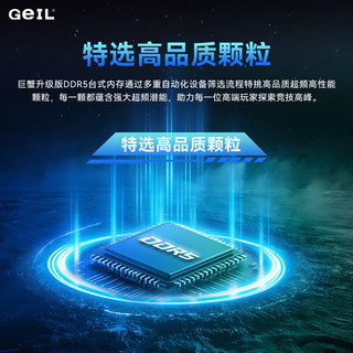 金邦 巨蟹升级版 DDR5 6000 C36 32GB(16G×2) 黑色 台式机内存