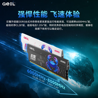 金邦 巨蟹升级版 DDR5 6000 C36 32GB(16G×2) 黑色 台式机内存