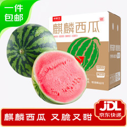 京鲜生 西瓜  2.5kg
