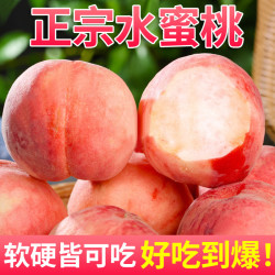 飘香果度 水蜜桃 净重4.5斤 单果90g+ 中果