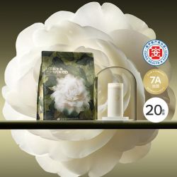 babycare 山茶花一次性内裤女孕产妇大码日抛月子待产出差旅行