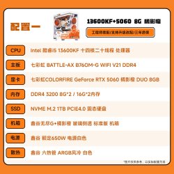 七彩虹 橘猫电脑主机i5 13600kf 5060ti/506/5070ti/5070显卡电脑主机diy组装机游戏设计全家桶电脑台式机整机