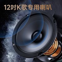 SANSUI/山水 PE122 家庭KTV 一体机音箱
