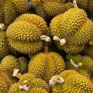泰国金枕榴莲新鲜应季带壳鲜果大果整个枕头进口水果批发