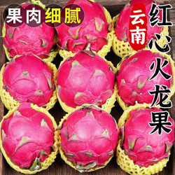 鲜福林 限时半小时！云南红心火龙果 净重4.6斤（单果300-400g）
