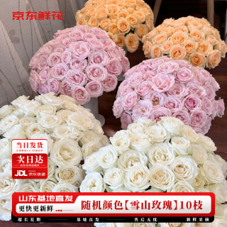 京东鲜花 玫瑰花随机10枝山东基地新鲜采摘送爱人礼物源头直发