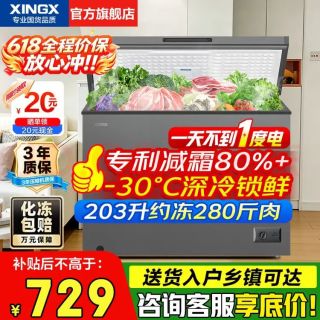 星星 无霜速冻 商用冰柜  203L