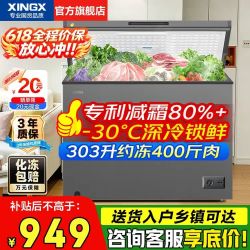 星星 BD/BC-300KE 冰柜 303L