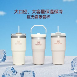 斯坦利 巨无霸网红不锈钢吸管杯水杯拎拎杯887ml