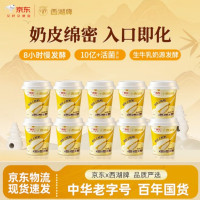 西湖牌 奶皮子酸奶 100g*10杯