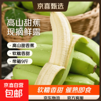 京喜 高山甜香蕉正宗当季水果青皮 云南高山绿皮香蕉 带箱 9斤