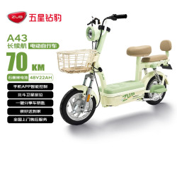 五星钻豹 电动自行车A43新国标长续航电动车48V22AH石墨烯铅酸智能日常通勤代步可上牌源彩浅绿/纳沙绿