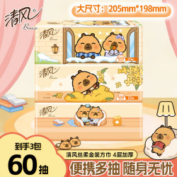 清风 抽纸面巾纸 4层 20抽*3包