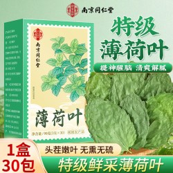 乐家遐龄 薄荷叶 特级 90g 1盒30包