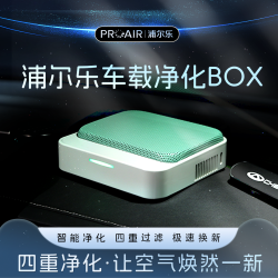 浦尔乐 车载智能净烟器新车车内高级空气净化器除烟味异味除菌除醛