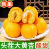  ZHENGXIANJI/正鲜季 新鲜采摘 大黄杏