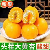 正鲜季 陕西大黄杏 1斤