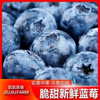 百亿补贴：玖玖农场 顺丰丹东新鲜蓝莓当季水果2盒15mm生鲜脆甜蓝莓中果